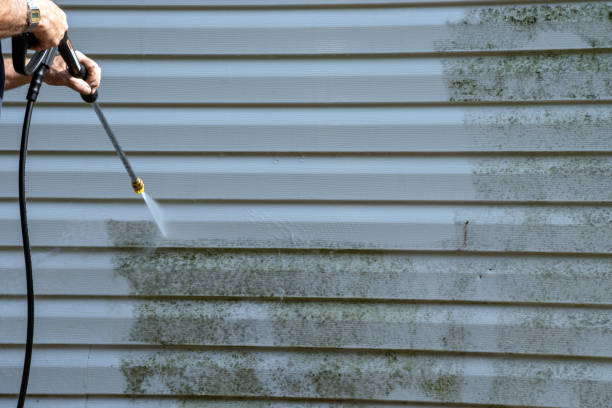 Best Garage Cleanout  in Pittston, PA