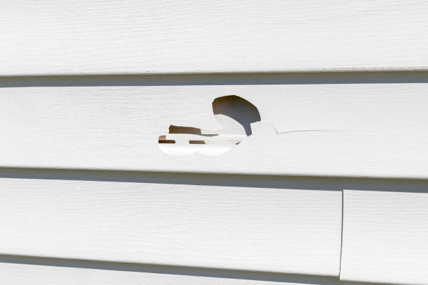 Best Construction Debris Removal  in Pittston, PA